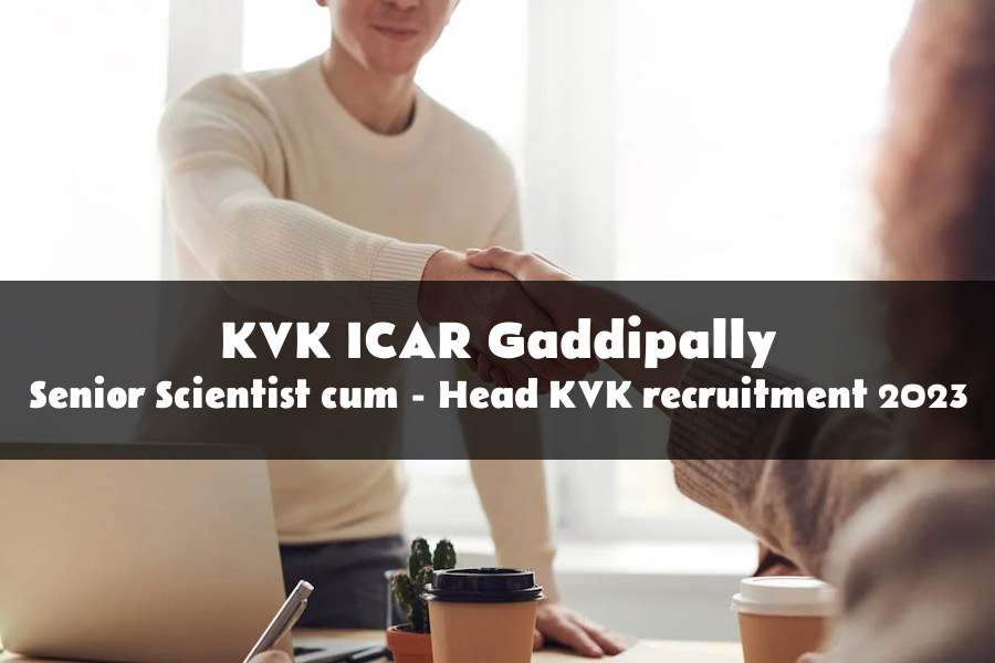 Scientist cum - Head KVK recruitment at Krishi Vigyan Kendra (ICAR) Gaddipally 2023