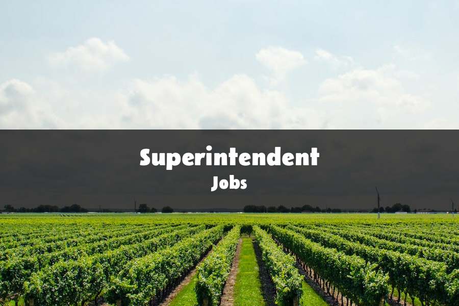 Superintendent 